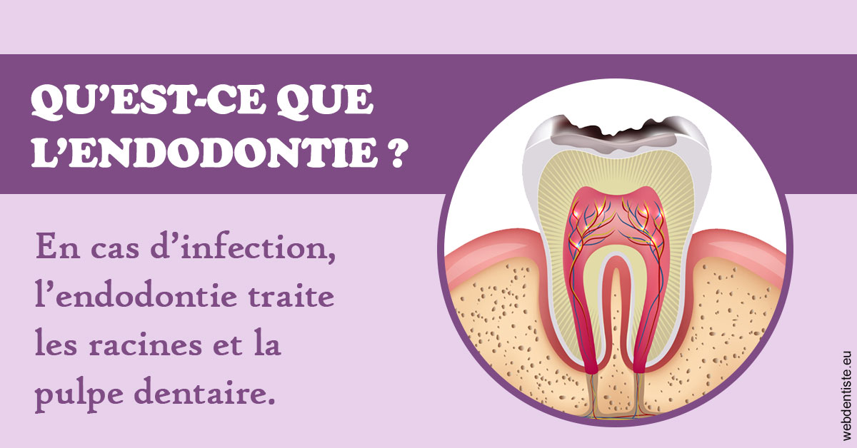 https://www.centre-dentaire-asnieres-les-gresillons.fr/2024 T1 - Endodontie 02