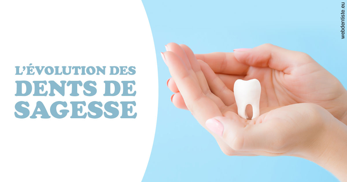 https://www.centre-dentaire-asnieres-les-gresillons.fr/Evolution dents de sagesse 1