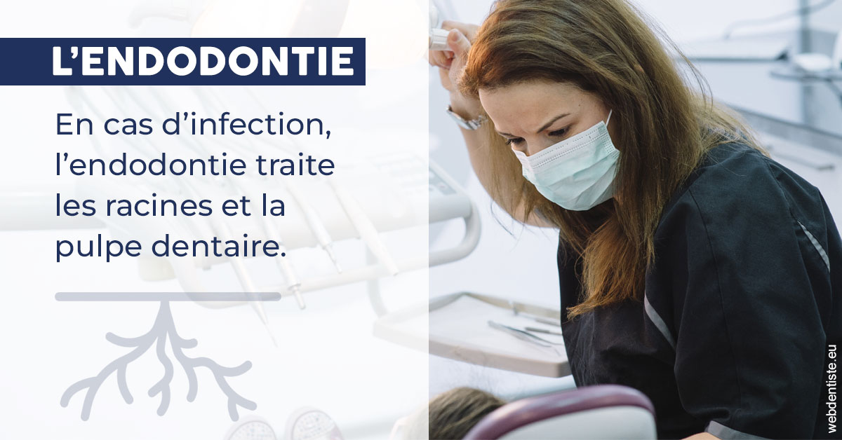 https://www.centre-dentaire-asnieres-les-gresillons.fr/L'endodontie 1