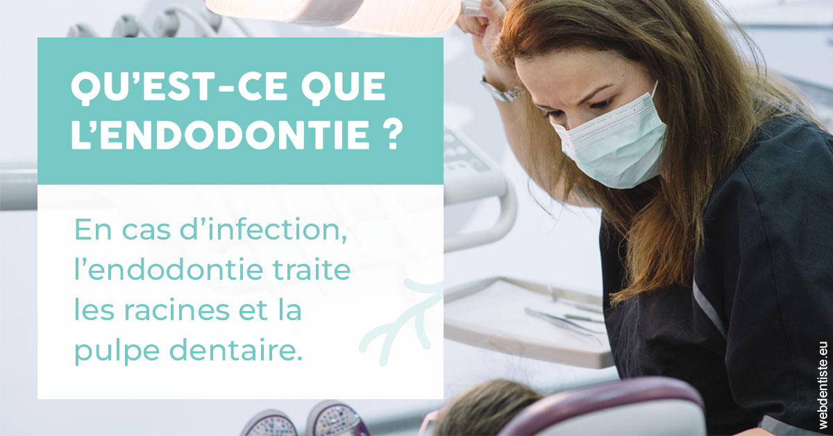 https://www.centre-dentaire-asnieres-les-gresillons.fr/2024 T1 - Endodontie 01