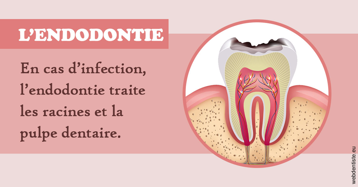 https://www.centre-dentaire-asnieres-les-gresillons.fr/L'endodontie 2